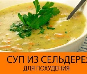 Сельдерейная диета для похудения